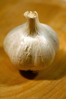 Garlic.jpeg
